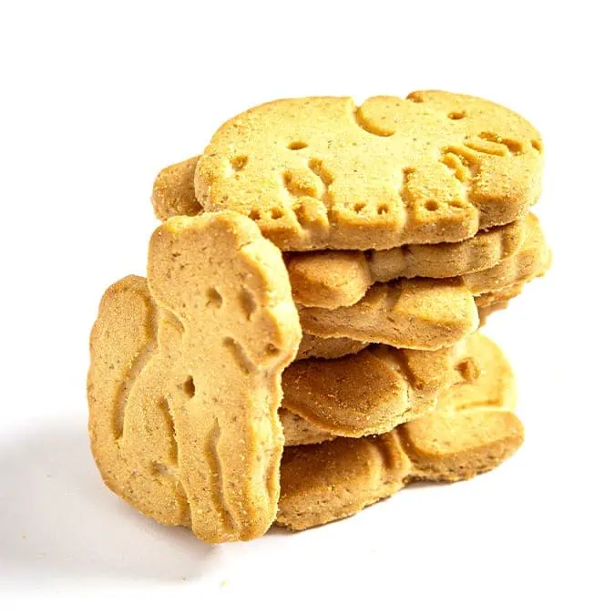 Illustrative animal shapes cookies